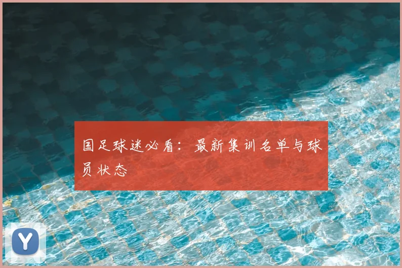国足球迷必看：最新集训名单与球员状态